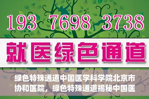 绿色特殊通道中国医学科学院北京市协和医院，绿色特殊通道揭秘中国医学科学院北京市协和医院的力量与担当