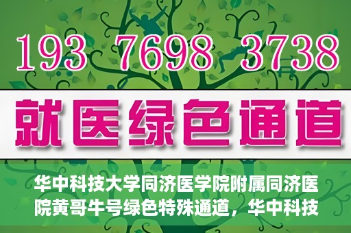 华中科技大学同济医学院附属同济医院黄哥牛号绿色特殊通道，华中科技大学同济医院黄哥牛号绿色特殊通道揭秘