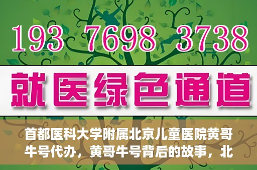 首都医科大学附属北京儿童医院黄哥牛号代办，黄哥牛号背后的故事，北京儿童医院名医背后的故事与探索。