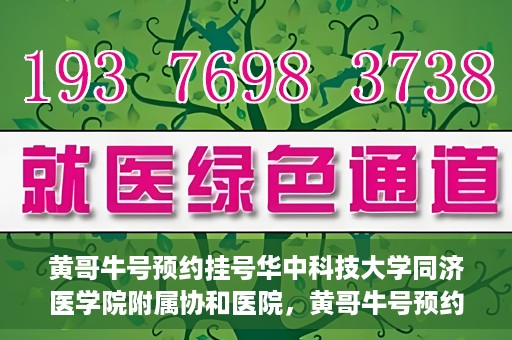 黄哥牛号预约挂号华中科技大学同济医学院附属协和医院，黄哥牛号预约挂号，华中科技大学同济医学院附属协和医院就医新体验
