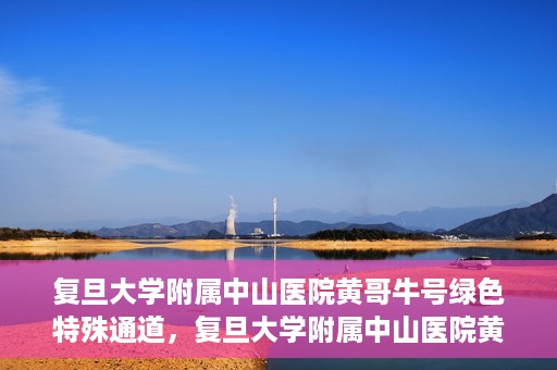 复旦大学附属中山医院黄哥牛号绿色特殊通道，复旦大学附属中山医院黄哥牛号，绿色特殊通道开启健康之门
