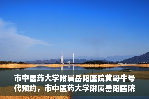市中医药大学附属岳阳医院黄哥牛号代预约，市中医药大学附属岳阳医院黄哥牛号预约服务启动