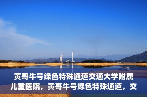黄哥牛号绿色特殊通道交通大学附属儿童医院，黄哥牛号绿色特殊通道，交通大学附属儿童医院的探索与实践
