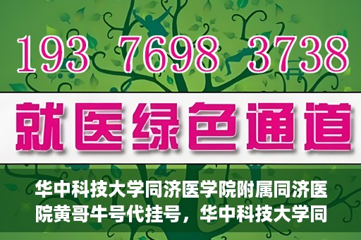 华中科技大学同济医学院附属同济医院黄哥牛号代挂号，华中科技大学同济医院黄哥牛号代挂号背后的故事