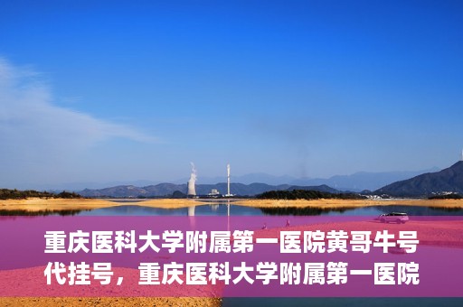 重庆医科大学附属第一医院黄哥牛号代挂号，重庆医科大学附属第一医院黄哥牛号代挂号服务解析