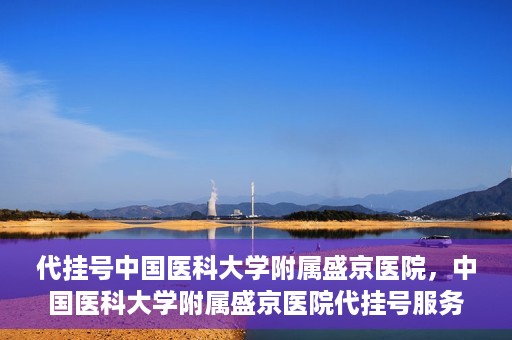 代挂号中国医科大学附属盛京医院，中国医科大学附属盛京医院代挂号服务详解