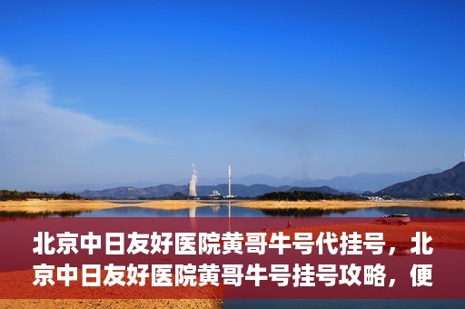 北京中日友好医院黄哥牛号代挂号，北京中日友好医院黄哥牛号挂号攻略，便捷代挂号服务解析