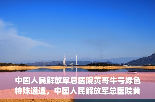 中国人民解放军总医院黄哥牛号绿色特殊通道，中国人民解放军总医院黄哥牛号，绿色特殊通道开启健康之门