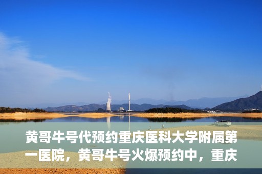 黄哥牛号代预约重庆医科大学附属第一医院，黄哥牛号火爆预约中，重庆医科大学附属第一医院开启预约新纪元
