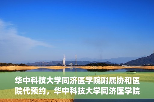华中科技大学同济医学院附属协和医院代预约，华中科技大学同济医学院附属协和医院便捷代预约服务解析