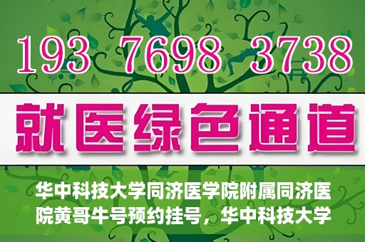 华中科技大学同济医学院附属同济医院黄哥牛号预约挂号，华中科技大学同济医院黄哥牛号预约挂号攻略