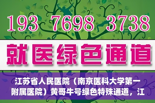 江苏省人民医院（南京医科大学第一附属医院）黄哥牛号绿色特殊通道，江苏省人民医院绿色特殊通道，黄哥牛号的医疗速度与温情服务