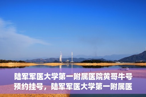 陆军军医大学第一附属医院黄哥牛号预约挂号，陆军军医大学第一附属医院黄哥牛号预约挂号指南，轻松挂号，健康无忧！