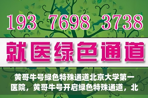黄哥牛号绿色特殊通道北京大学第一医院，黄哥牛号开启绿色特殊通道，北京大学第一医院全力护航健康之路