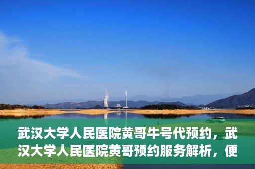 武汉大学人民医院黄哥牛号代预约，武汉大学人民医院黄哥预约服务解析，便捷医疗，牛号代预约新体验