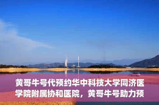 黄哥牛号代预约华中科技大学同济医学院附属协和医院，黄哥牛号助力预约华中科技大学同济医学院附属协和医院专业服务
