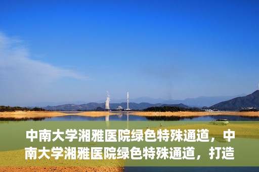 中南大学湘雅医院绿色特殊通道，中南大学湘雅医院绿色特殊通道，打造医疗服务的绿色通道新篇章