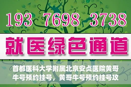 首都医科大学附属北京安贞医院黄哥牛号预约挂号，黄哥牛号预约挂号攻略，首都医科大学附属北京安贞医院就医指南