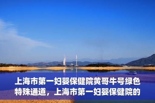 上海市第一妇婴保健院黄哥牛号绿色特殊通道，上海市第一妇婴保健院的绿色特殊通道，黄哥牛号行动启动