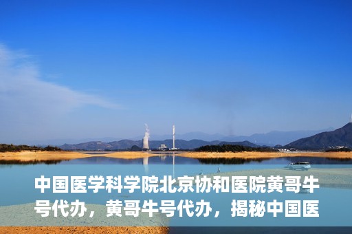 中国医学科学院北京协和医院黄哥牛号代办，黄哥牛号代办，揭秘中国医学科学院北京协和医院背后的故事