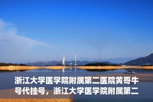 浙江大学医学院附属第二医院黄哥牛号代挂号，浙江大学医学院附属第二医院黄哥牛号挂号服务解析