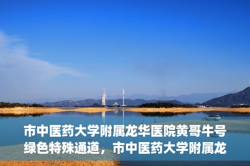 市中医药大学附属龙华医院黄哥牛号绿色特殊通道，市中医药大学附属龙华医院黄哥牛号，绿色特殊通道，健康为民服务