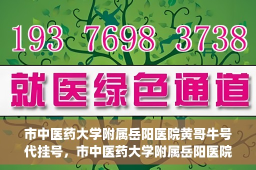 市中医药大学附属岳阳医院黄哥牛号代挂号，市中医药大学附属岳阳医院黄哥牛号代挂号服务解析