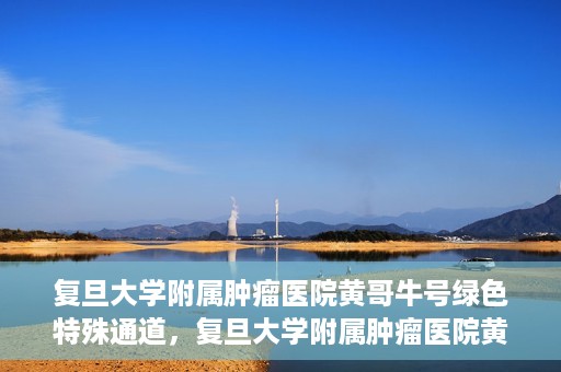 复旦大学附属肿瘤医院黄哥牛号绿色特殊通道，复旦大学附属肿瘤医院黄哥牛号，绿色特殊通道揭秘