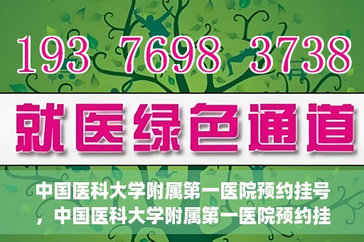 中国医科大学附属第一医院预约挂号，中国医科大学附属第一医院预约挂号指南，一站式解决您的就医难题