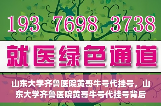 山东大学齐鲁医院黄哥牛号代挂号，山东大学齐鲁医院黄哥牛号代挂号背后的故事与探索