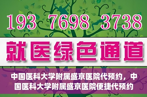 中国医科大学附属盛京医院代预约，中国医科大学附属盛京医院便捷代预约服务解析