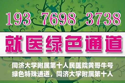 同济大学附属第十人民医院黄哥牛号绿色特殊通道，同济大学附属第十人民医院黄哥牛号，绿色特殊通道开启健康之门