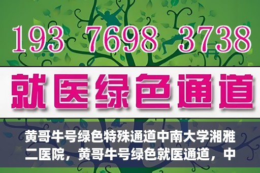 黄哥牛号绿色特殊通道中南大学湘雅二医院，黄哥牛号绿色就医通道，中南大学湘雅二医院特色服务揭秘
