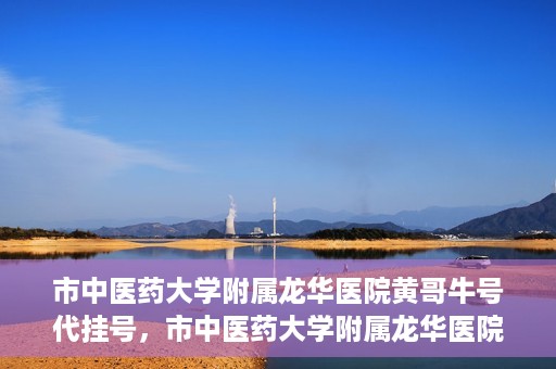 市中医药大学附属龙华医院黄哥牛号代挂号，市中医药大学附属龙华医院黄哥牛号代挂号服务解析
