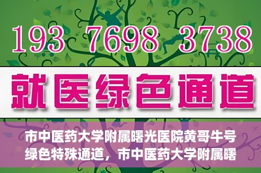 市中医药大学附属曙光医院黄哥牛号绿色特殊通道，市中医药大学附属曙光医院黄哥牛号，绿色特殊通道开启健康之门