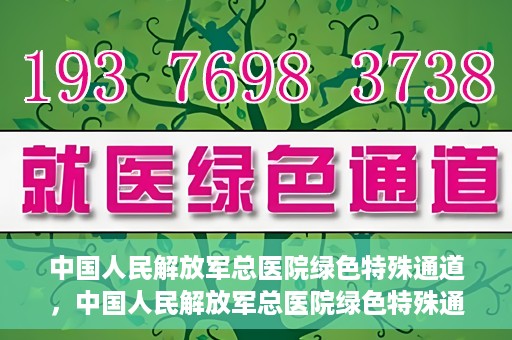 中国人民解放军总医院绿色特殊通道，中国人民解放军总医院绿色特殊通道，医疗服务的紧急通道与人文关怀的完美结合