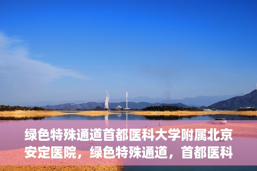 绿色特殊通道首都医科大学附属北京安定医院，绿色特殊通道，首都医科大学附属北京安定医院的探索与实践