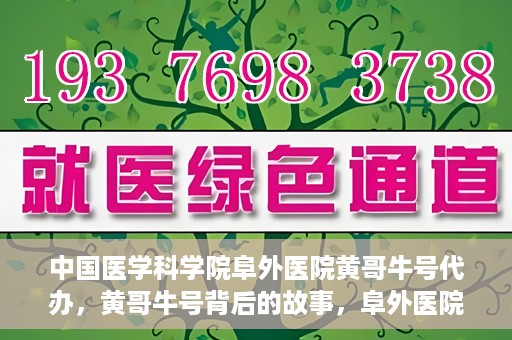 中国医学科学院阜外医院黄哥牛号代办，黄哥牛号背后的故事，阜外医院名医揭秘与医疗服务的深度解读