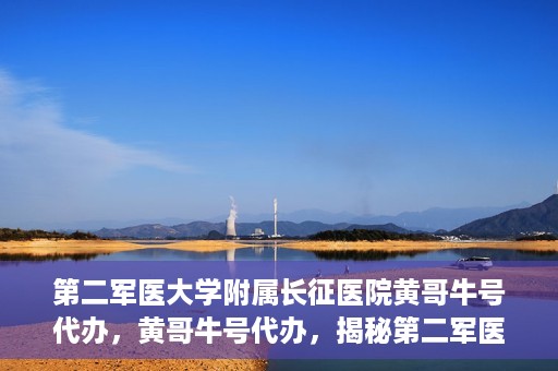 第二军医大学附属长征医院黄哥牛号代办，黄哥牛号代办，揭秘第二军医大学附属长征医院的医疗服务新篇章