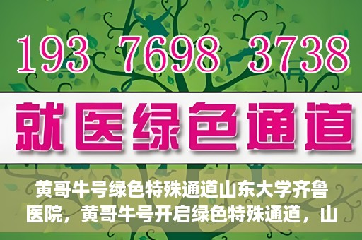 黄哥牛号绿色特殊通道山东大学齐鲁医院，黄哥牛号开启绿色特殊通道，山东大学齐鲁医院焕新篇章