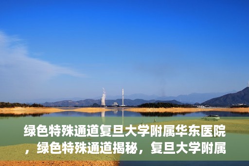 绿色特殊通道复旦大学附属华东医院，绿色特殊通道揭秘，复旦大学附属华东医院的独特之处