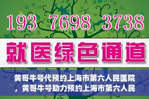 黄哥牛号代预约上海市第六人民医院，黄哥牛号助力预约上海市第六人民医院服务