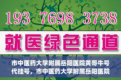 市中医药大学附属岳阳医院黄哥牛号代挂号，市中医药大学附属岳阳医院黄哥牛号代挂号服务解析