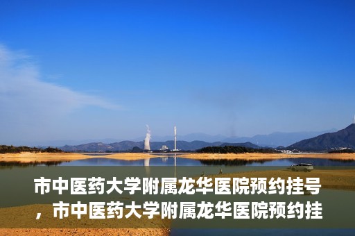 市中医药大学附属龙华医院预约挂号，市中医药大学附属龙华医院预约挂号攻略，一站式解决您的挂号难题