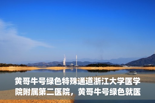 黄哥牛号绿色特殊通道浙江大学医学院附属第二医院，黄哥牛号绿色就医通道，浙江大学医学院附属第二医院的探索与实践