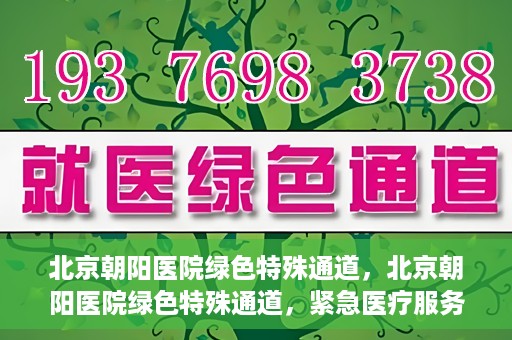 北京朝阳医院绿色特殊通道，北京朝阳医院绿色特殊通道，紧急医疗服务的速度与温情