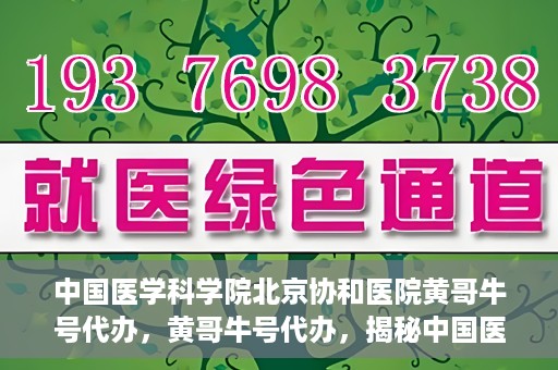 中国医学科学院北京协和医院黄哥牛号代办，黄哥牛号代办，揭秘中国医学科学院北京协和医院背后的故事