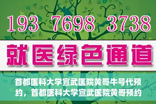 首都医科大学宣武医院黄哥牛号代预约，首都医科大学宣武医院黄哥预约代挂号服务解析