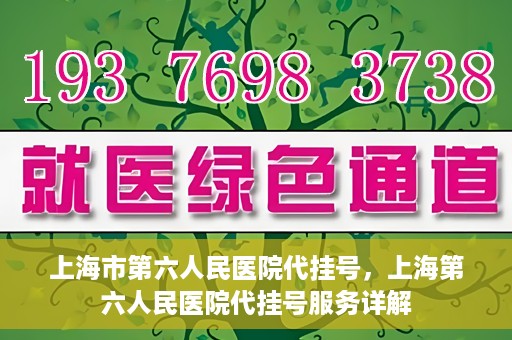 上海市第六人民医院代挂号，上海第六人民医院代挂号服务详解
