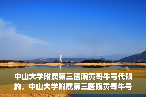 中山大学附属第三医院黄哥牛号代预约，中山大学附属第三医院黄哥牛号预约攻略，轻松解决挂号难题
